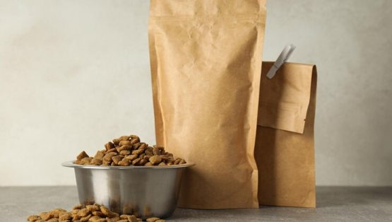 tasty-delicious-food-pet-pet-accessories_996173-599